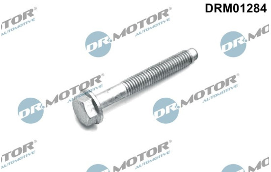 Screw, injection nozzle holder