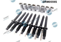 Screw, injection nozzle holder