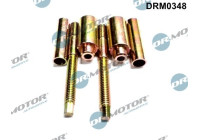 Screw, injection nozzle holder