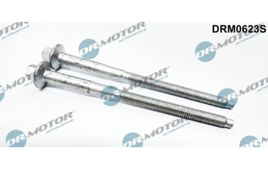 Screw, injection nozzle holder