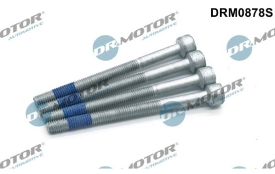 Screw, injection nozzle holder