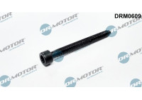 Screw, injection nozzle holder