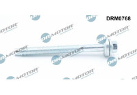 Screw, injection nozzle holder