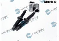 Screw, injection nozzle holder