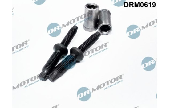 Screw, injection nozzle holder