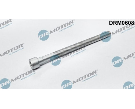 Screw, injection nozzle holder