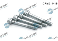 Screw, injection nozzle holder