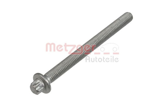 Screw, injector holder