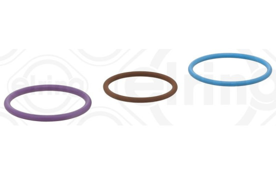 Seal, Injector/Nozzle