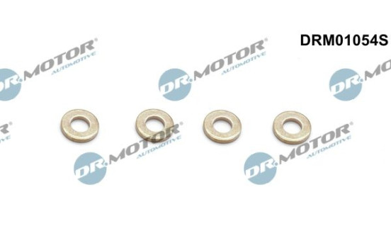 Seal, Injector/Nozzle