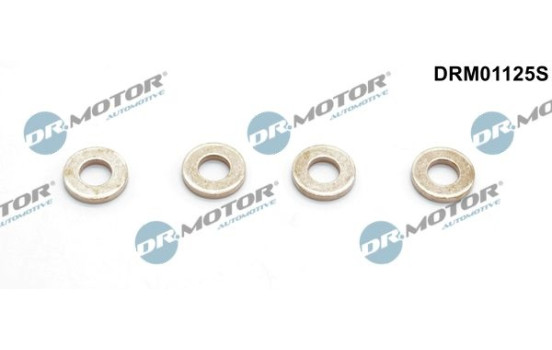 Seal, Injector/Nozzle