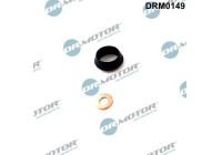 Seal, Injector/Nozzle