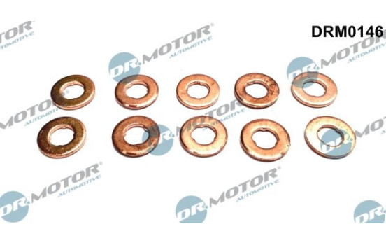 Seal, Injector/Nozzle