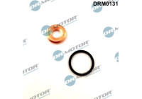 Seal, Injector/Nozzle