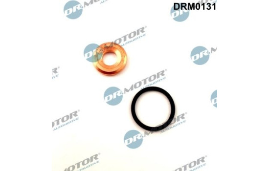 Seal, Injector/Nozzle