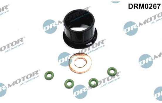 Seal, Injector/Nozzle