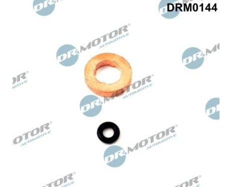 Seal, Injector/Nozzle