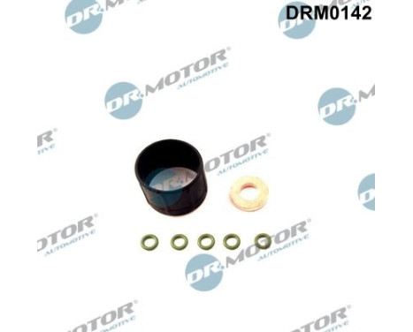 Seal, Injector/Nozzle