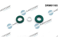 Seal, Injector/Nozzle