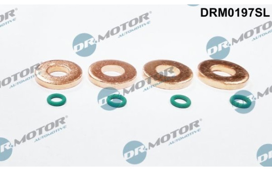 Seal, Injector/Nozzle