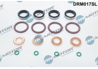 Seal, Injector/Nozzle