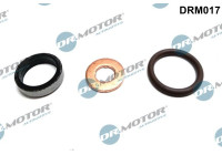 Seal, Injector/Nozzle