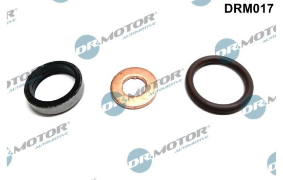 Seal, Injector/Nozzle