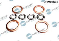 Seal, Injector/Nozzle