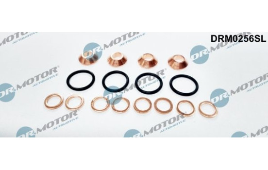 Seal, Injector/Nozzle