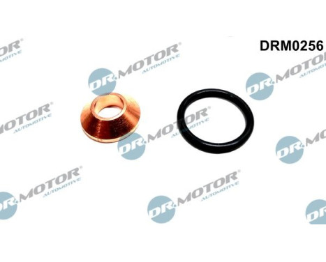 Seal, Injector/Nozzle