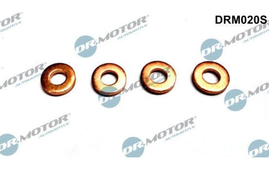 Seal, Injector/Nozzle