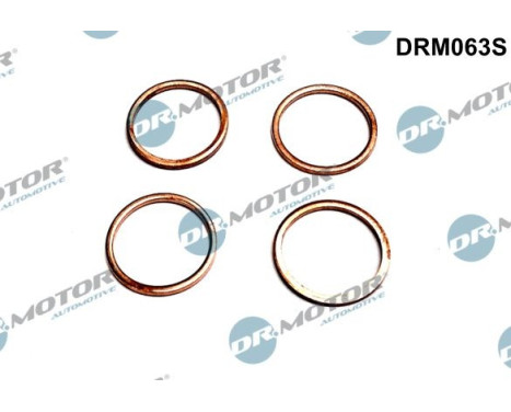Seal, Injector/Nozzle