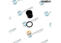 Seal, Injector/Nozzle