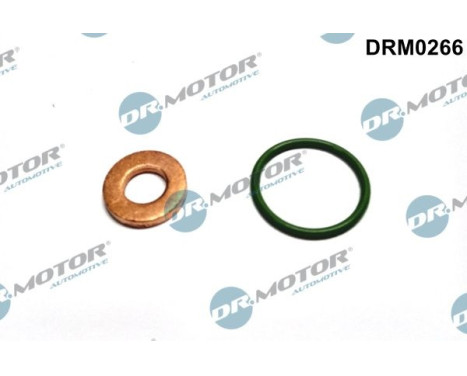 Seal, Injector/Nozzle