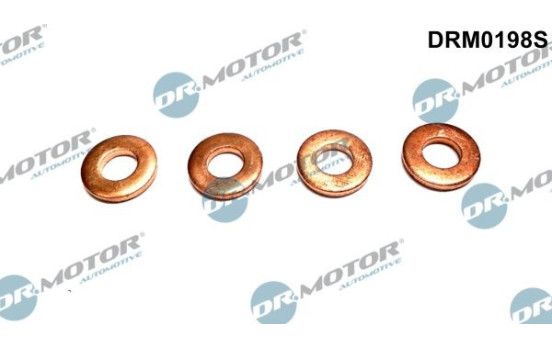 Seal, Injector/Nozzle