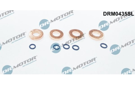 Seal, Injector/Nozzle