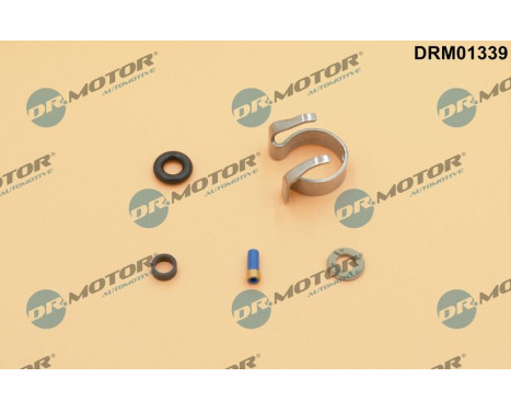 Seal, Injector/Nozzle