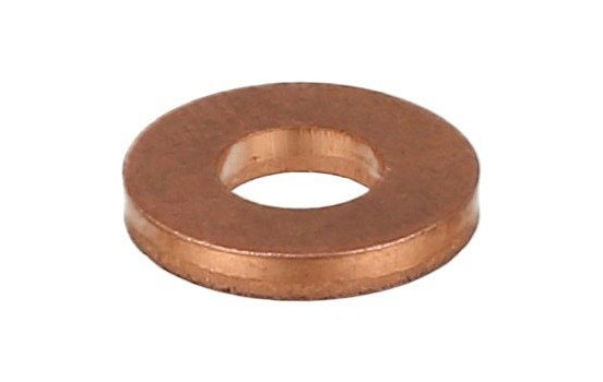 Seal ring, Atomizer/Injector