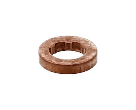 Seal ring, Atomizer/Injector