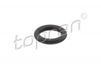 Seal ring, Atomizer/Injector