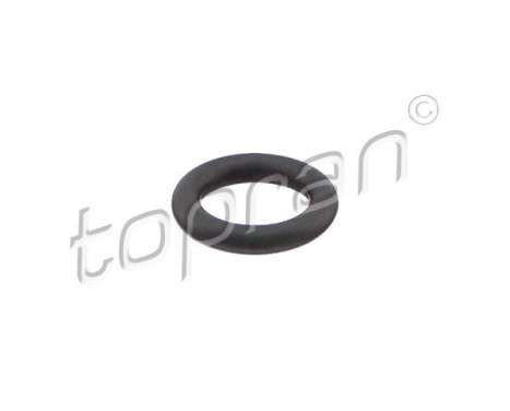 Seal ring, Atomizer/Injector