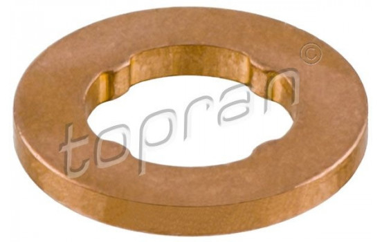 Seal ring, Atomizer/Injector