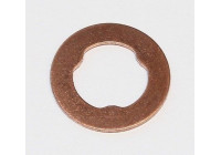 Seal ring, Atomizer/Injector