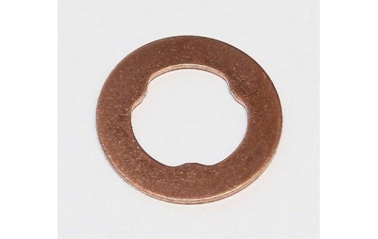 Seal ring, Atomizer/Injector