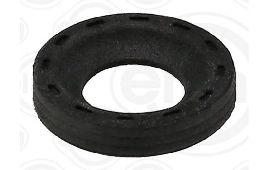 Seal ring, Atomizer/Injector