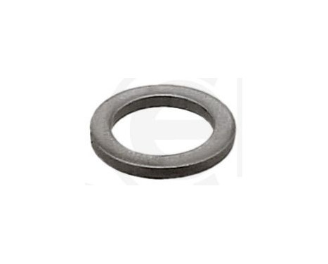 Seal ring, Atomizer/Injector
