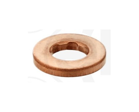 Seal ring, Atomizer/Injector