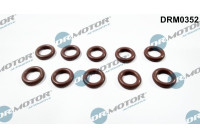 Seal ring, Atomizer/Injector