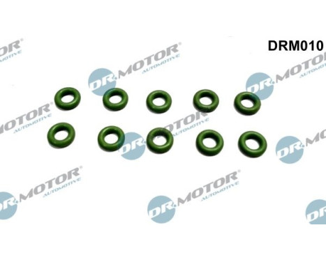 Seal ring, Atomizer/Injector