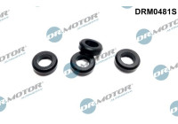 Seal ring, Atomizer/Injector